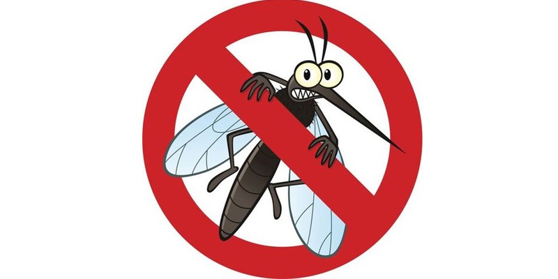 Hướng dẫn phòng, chống Sốt xuất huyết