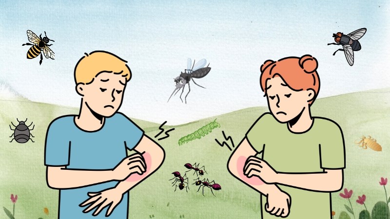 Cách Diệt Gián Tại Văn Phòng Tận Gốc An Toàn Hiệu Quả 8 12 loại côn trùng gây bệnh có hại cho người và biện pháp phòng ngừa
