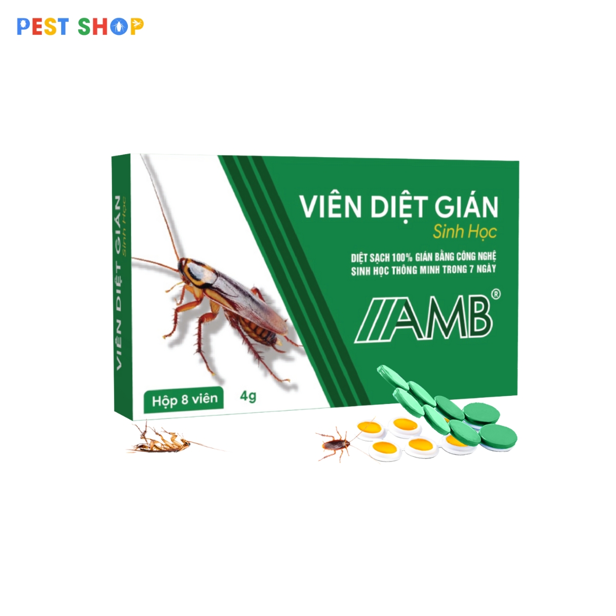 15 Cách Diệt Gián Trong Phòng Trọ Tận Gốc An Toàn Hiệu Quả 11 Thuốc diệt gián sinh học AMB diệt tận gốc an toàn