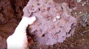 5 Cách Diệt Mối Chúa Tận Gốc An Toàn Ngay Tại Nhà 11 Hướng dẫn kinh nghiệm diệt mối dân gian hiệu quả | dietmoinhanh.vn