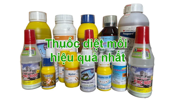 Cách Diệt Mối Trong Tủ Quần Áo Tận Gốc An Toàn Hiệu Quả 9 Tổng Hợp Các Loại Thuốc Diệt Mối Hiệu Quả Nhất Hiện Nay