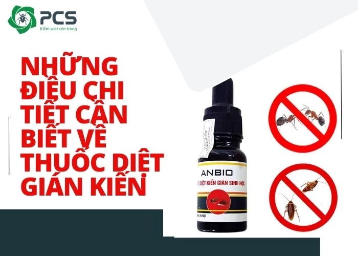 Cách Đuổi Kiến Cánh Tại Nhà Tận Gốc An Toàn Hiệu Quả 13 Thuốc diệt dán kiến: Những lưu ý trước khi dùng
