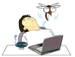 6 Cách Đuổi Muỗi Bằng Tỏi Tại Nhà Đơn Giản An Toàn 8 Phương pháp phòng chống muỗi