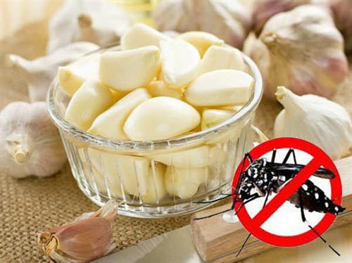 15 Cách Đuổi Và Diệt Muỗi Tận Gốc Hiệu Quả Ngay Tại Nhà 9 Cách đuổi muỗi bằng tỏi cực kì đơn giản mà hiệu quả | Báo ảnh Dân tộc và Miền núi