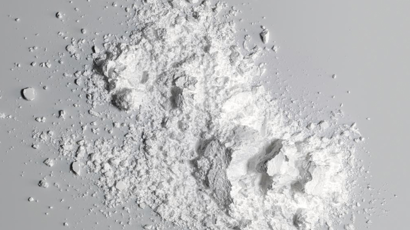 Mối là gì? 10 cách diệt mối mọt đơn giản, hiệu quả