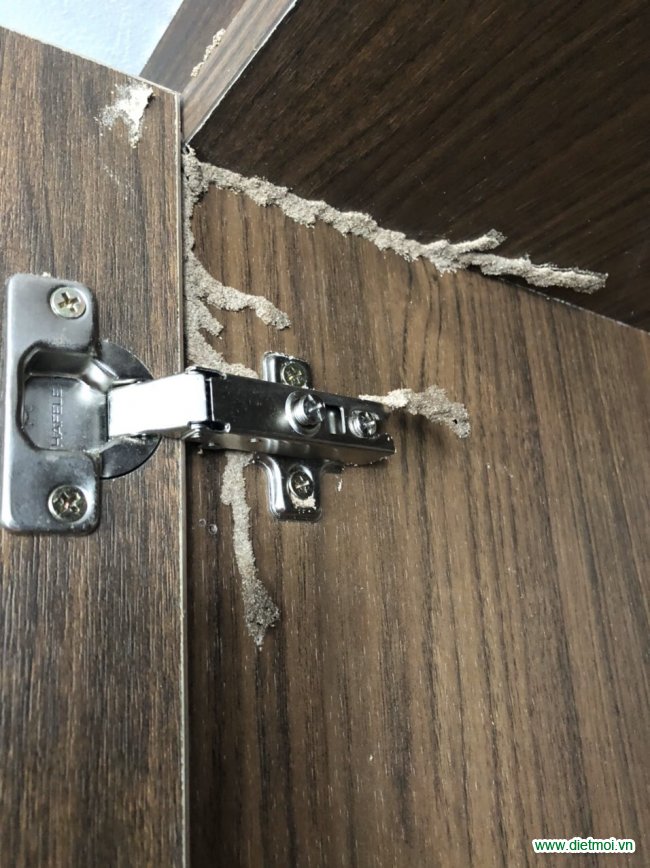 Cách Sử Dụng Thuốc Diệt Mối Dạng Bột An Toàn Hiệu Quả 10 Đâu Hiệu Nhận Biết Tổ Mối Trong Nhà Bạn Qua Hình Ảnh