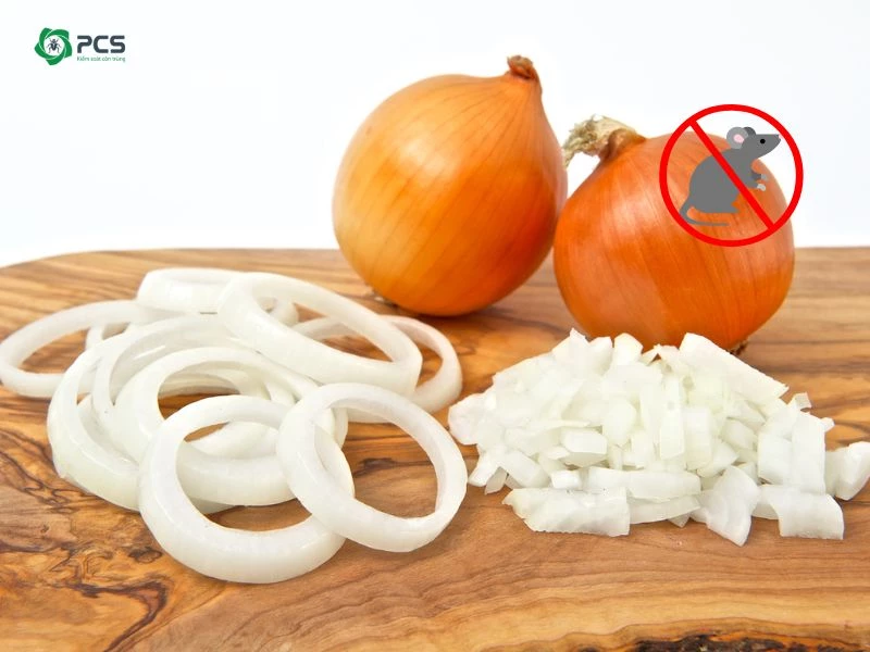 Chuột Sợ Mùi Gì Nhất Và 10 Mùi Hương Đuổi Chuột Hiệu Quả 9 22 Cách diệt chuột hiệu quả đơn giản dễ làm