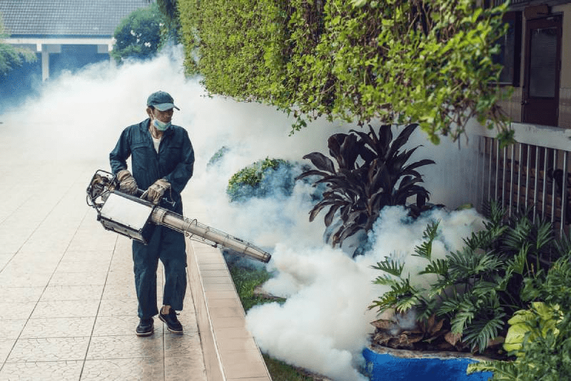 Có Nên Tự Phun Thuốc Xịt Muỗi Rủi Ro Và Giải Pháp An Toàn 8 Phun thuốc diệt muỗi tại nhà và các lưu ý cần biết - Hapacol