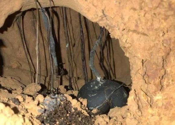 Đất Tổ Mối Có Tác Dụng Gì Giải Đáp Chi Tiết Từ Chuyên Gia 9 Loại nấm “mọc trong tổ mối” đắt hơn vàng, nhưng vì sao người đào được không muốn bán?