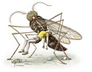 Muỗi – sát thủ gây ra cái chết nhiều nhất cho con người!