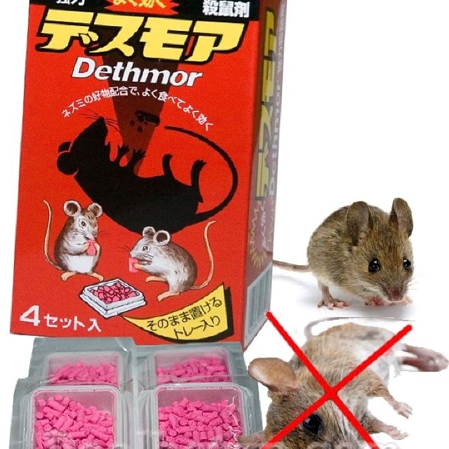 Dịch Vụ Diệt Chuột Tận Gốc Tại TPHCM An Toàn Theo Chuẩn IPM 30 Hộp diệt chuột Dethmor Nhật Bản Chính Hãng Giá Tốt