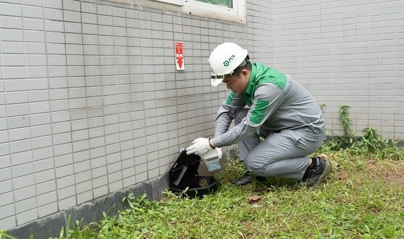 Dịch Vụ Diệt Chuột Tận Gốc Tại TPHCM An Toàn Theo Chuẩn IPM 29 Dịch vụ diệt chuột tận gốc, hiệu quả, giá cực rẻ
