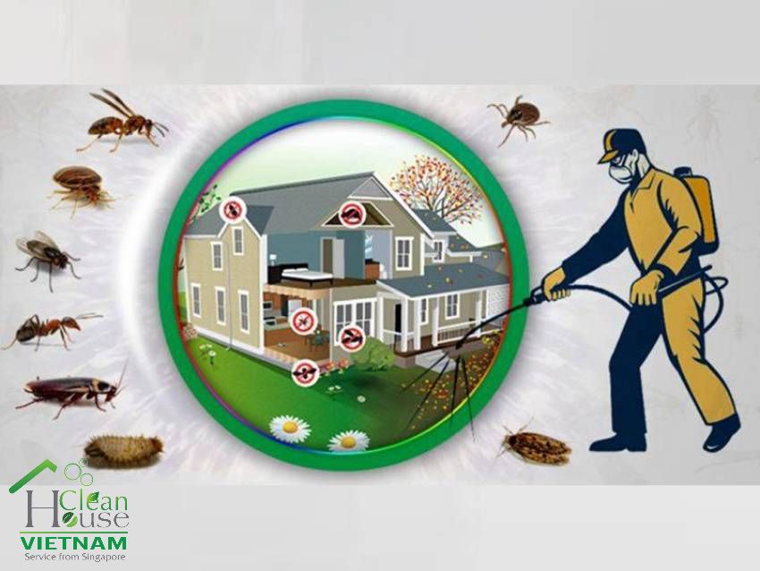 Diệt Gián - Diệt côn trùng - Công ty vệ sinh công nghiệp Cleanhouse