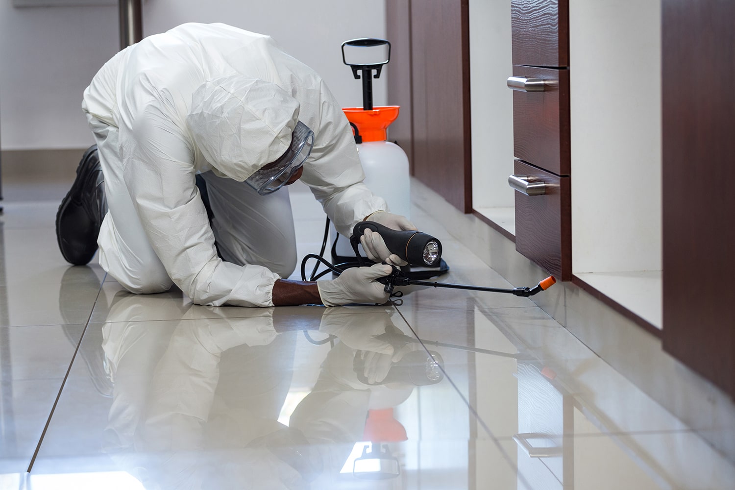 Dịch Vụ Diệt Kiến Tại TPHCM Tận Gốc Chuyên Nghiệp 27 Công ty diệt kiến tại Vĩnh Phúc – Diệt kiến, muỗi, mối, ruồi nhặng