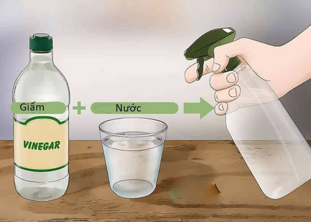 Dịch Vụ Diệt Kiến Tại TPHCM Tận Gốc Chuyên Nghiệp 31 20+ Cách Đuổi Kiến, Diệt Kiến Ra Khỏi Nhà Nhanh, Hiệu Quả | TIKI