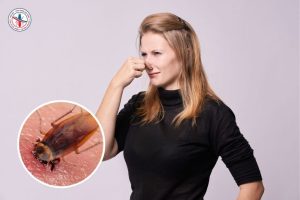 Gián Có Cắn Không? 6 Dấu Hiệu Bạn Đã Từng Bị Cắn Mà Không Biết