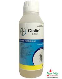 Cách Phòng Chống Mối Cho Cây Trồng Hiệu Quả Tận Gốc 12 Thuốc diệt mối, diệt mọt gỗ chuyên dụng Cislin 2.5EC của Bayer