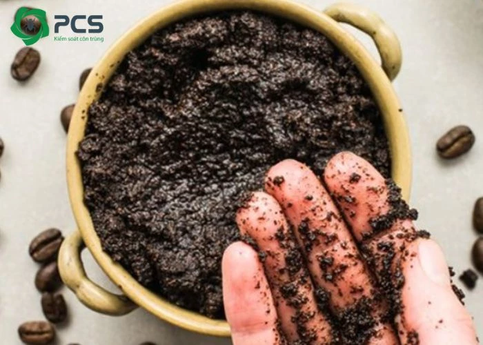 Kiến Có Hại Cho Cây Không Và Cách Diệt Kiến Tận Gốc 10 5 Cách diệt kiến lửa trong đất hiệu quả và an toàn cho cây trồng