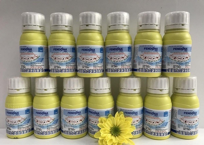 Kiến Đen Tất Cả Thông Tin Và Cách Diệt Tận Gốc Hiệu Quả 13 CÁC LOÀI THUỐC DIỆT KIẾN