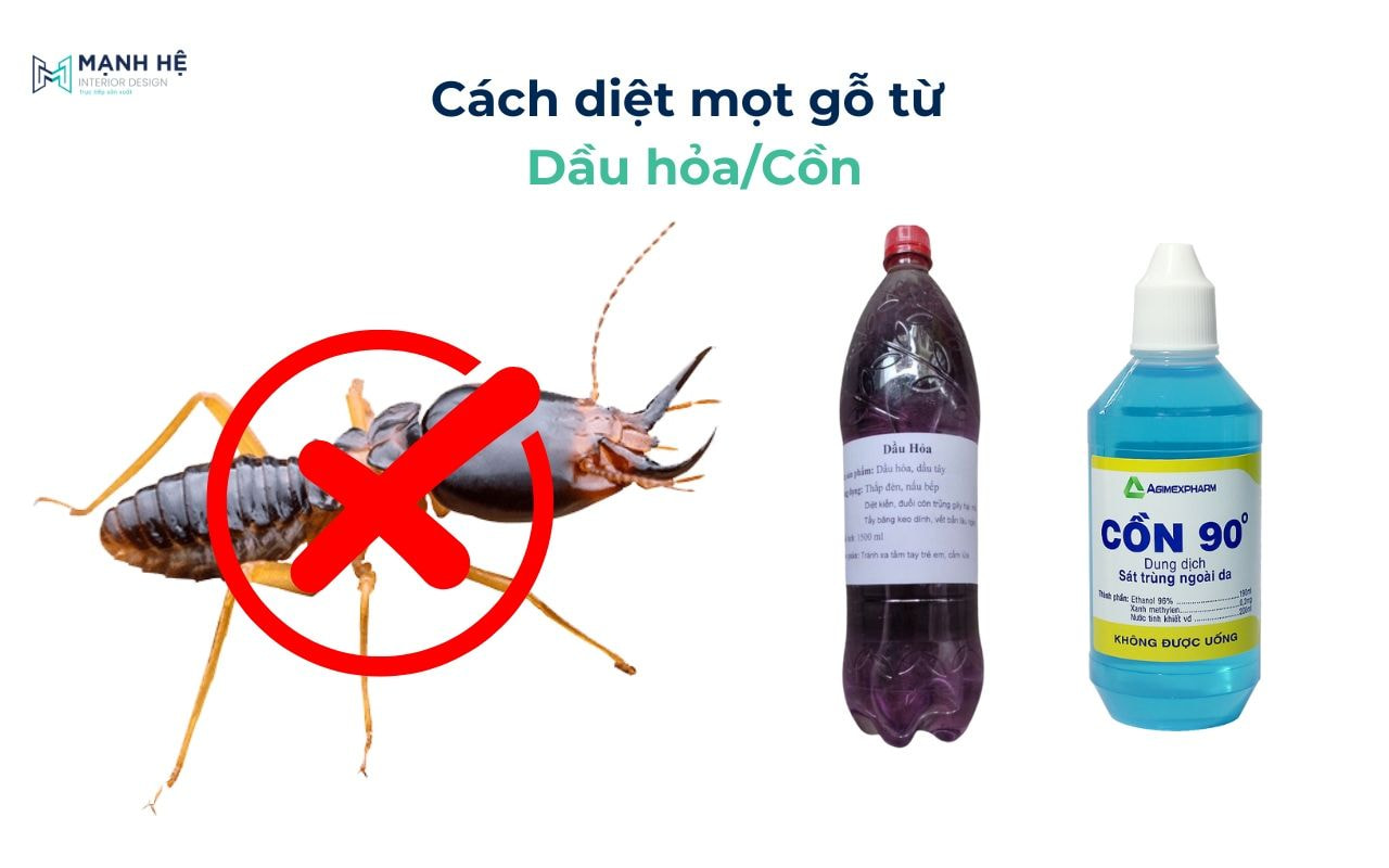 Mối Gỗ Khô Dấu Hiệu Nhận Biết Và 9 Cách Diệt Tận Gốc 13 Lưu ngay! Cách diệt mọt gỗ “CỰC HIỆU QUẢ, AN TOÀN” tại nhà