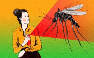 5+ Cách phòng chống muỗi được sử dụng phổ biến hiện nay