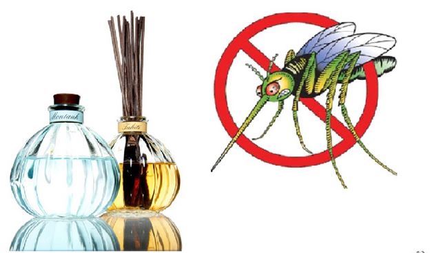 Nhang Muỗi Có Độc Không Lời Giải Đáp Chính Xác Từ Chuyên Gia 13 Tất tần tật cách đuổi muỗi, trị muỗi, phòng sốt xuất huyết