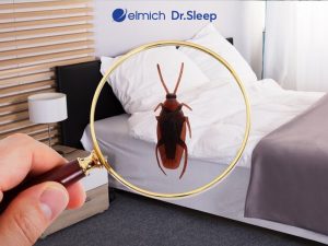 Cách Đuổi Gián Trong Phòng Ngủ Nhanh Chóng, Hiệu Quả Tức Thì