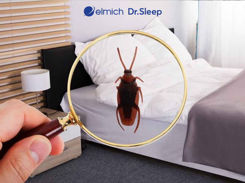 Vì Sao Nhà Có Nhiều Gián 9 Nguyên Nhân Và Cách Diệt Tận Gốc 7 Cách Đuổi Gián Trong Phòng Ngủ Nhanh Chóng, Hiệu Quả Tức Thì